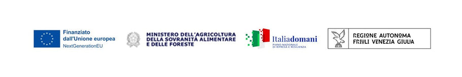 Progetto PNRR – Innovazione e meccanizzazione nel settore agricolo e alimentare